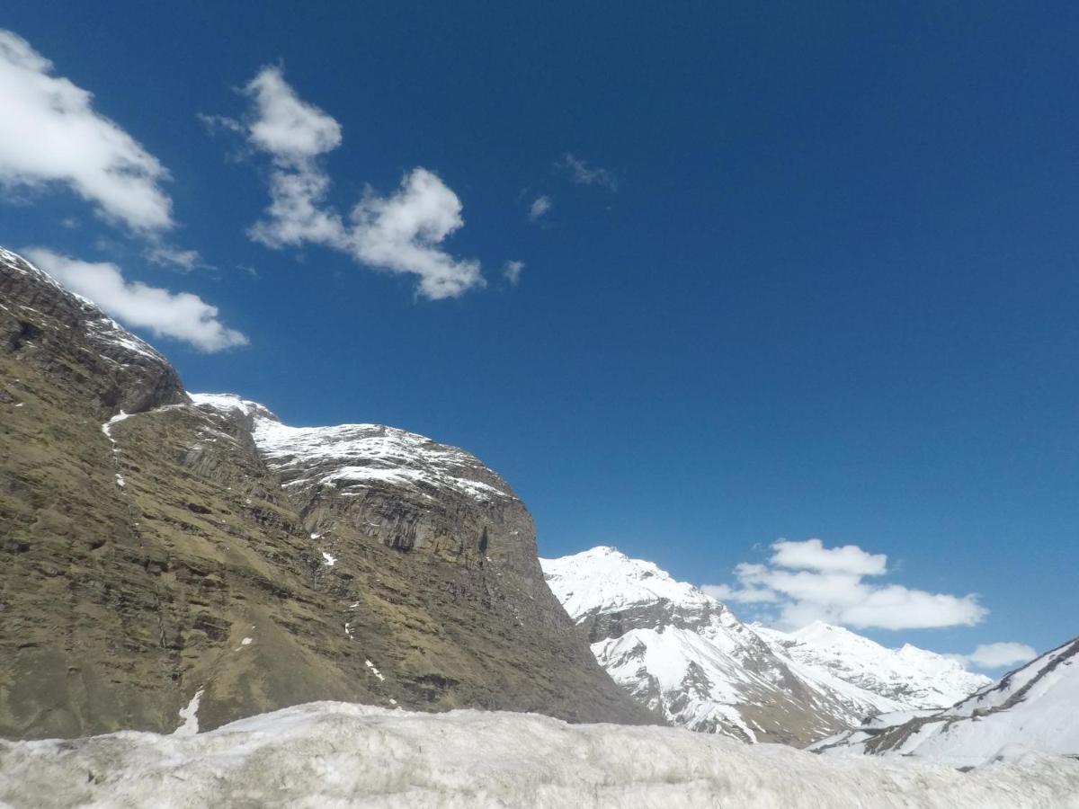 Hotel Snow Bird Manali  Exterior photo