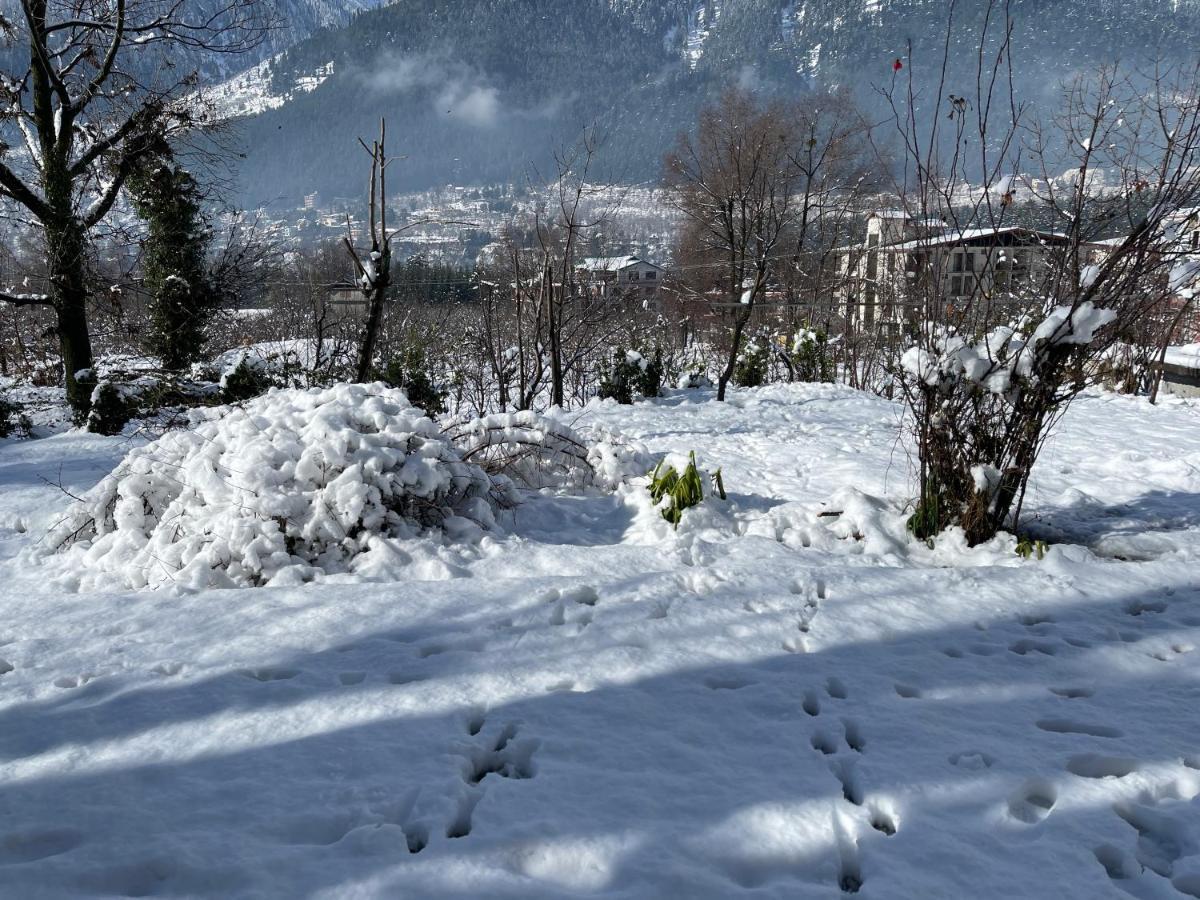 Hotel Snow Bird Manali  Exterior photo